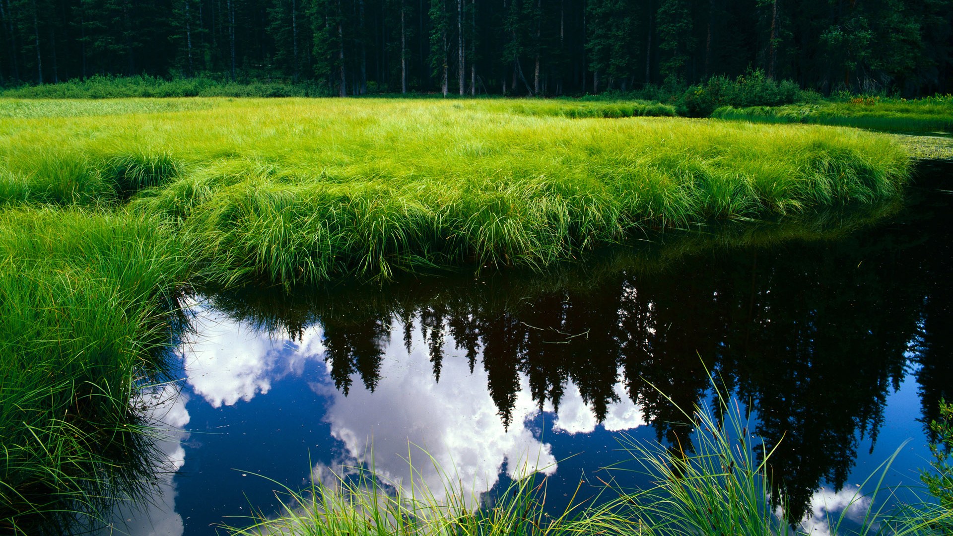 九游用户空间-青少年篮球比赛安全管理措施，青少年篮球比赛规则