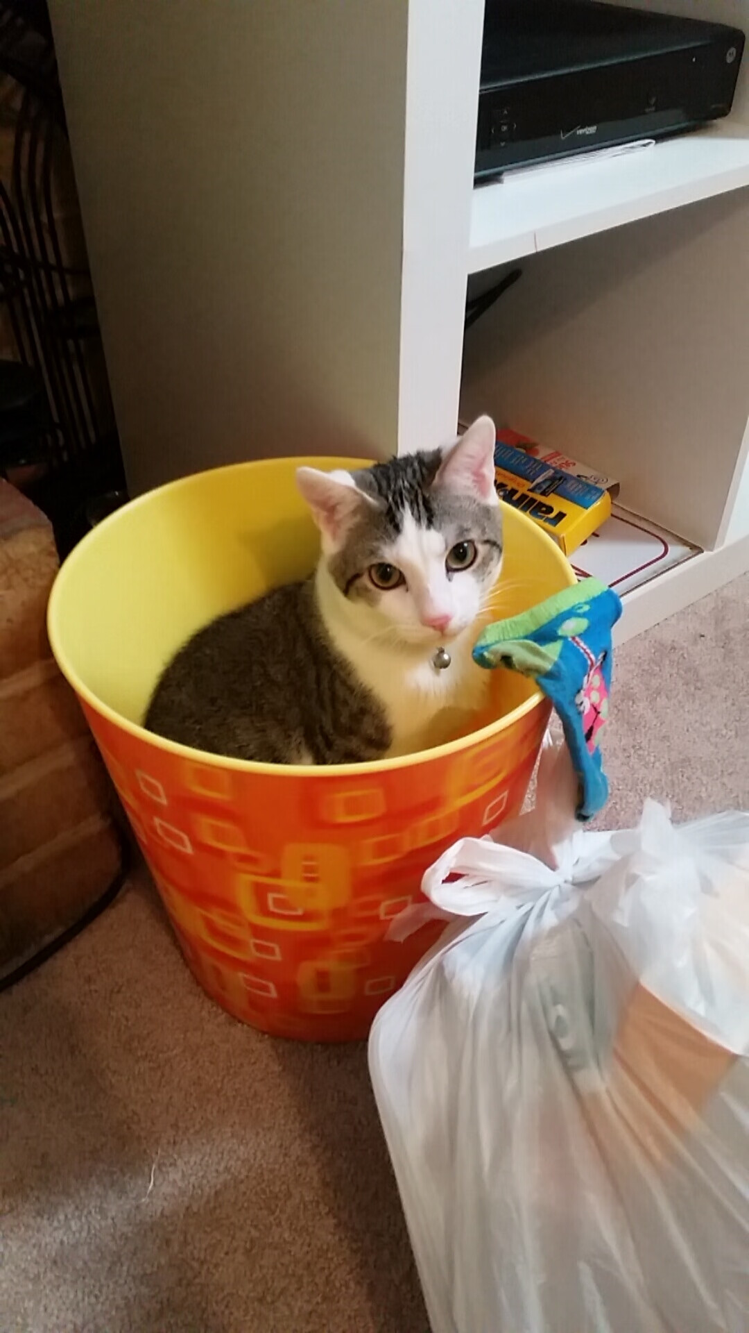 中国足球赛季终总结数据报告,中国足球队数据