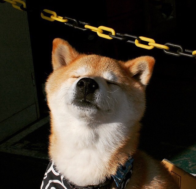 篮球运动员心理健康维护及心理干预技术创新研究,篮球心理素质训练