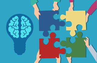 九游娱乐中心-青少年运动损伤防护知识普及策略及效果评估，青少年运动损伤防护知识普及策略及效果评估