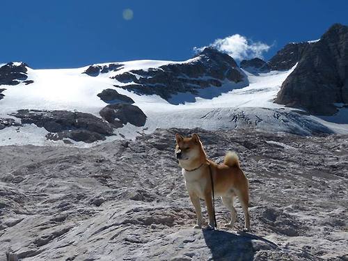 中国体育品牌出海加速打造国际影响力，中国体育产品实力排名