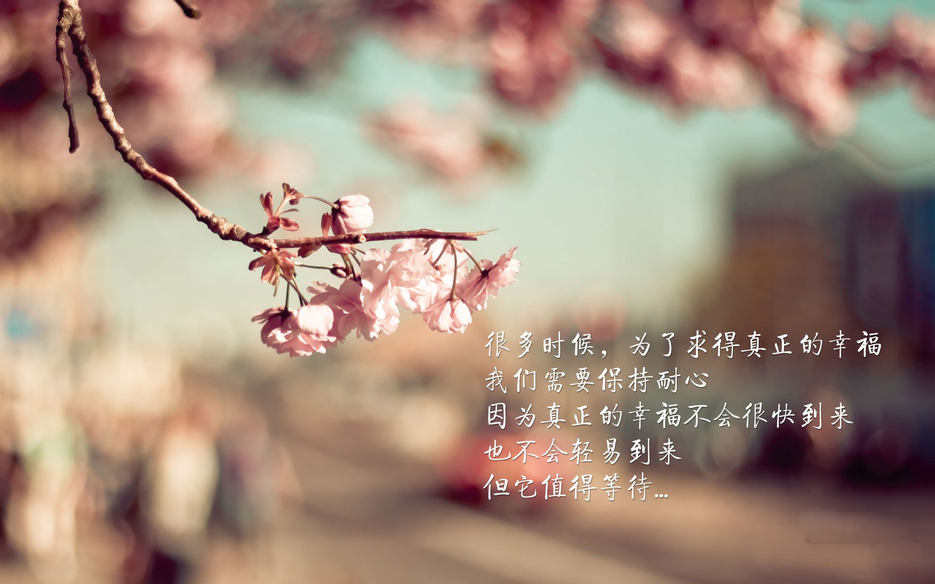 九游9游-中国男篮持续完善阵地进攻效率，中国男篮规划