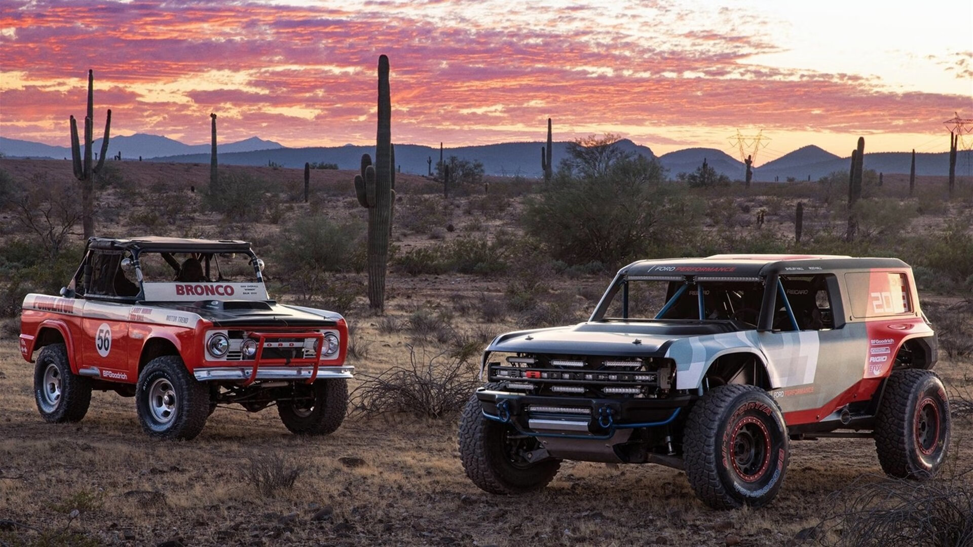 中长距离自由泳表现稳定,长距离自由泳技巧