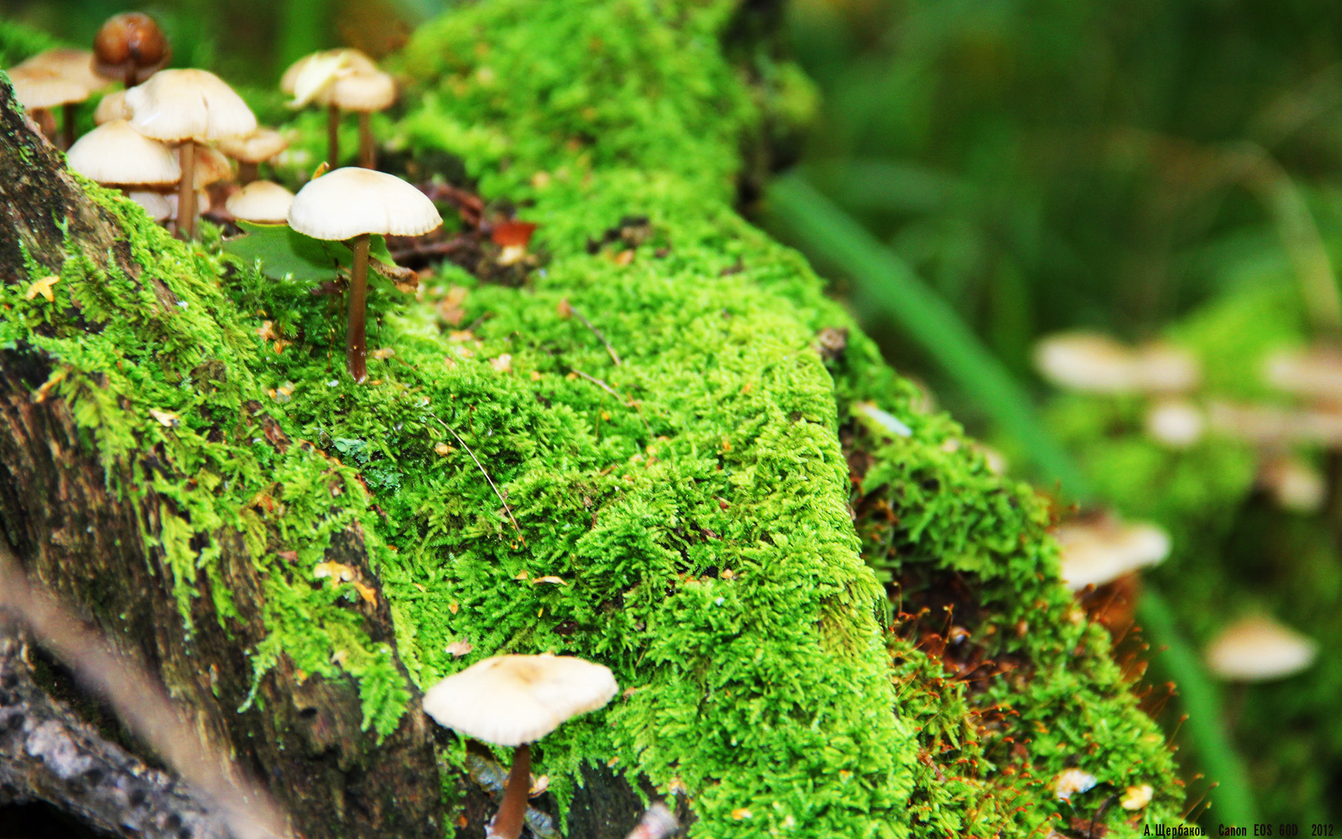 国家体育总局与地方政府签署奥运备战合作协议,国家体育运动总局局长