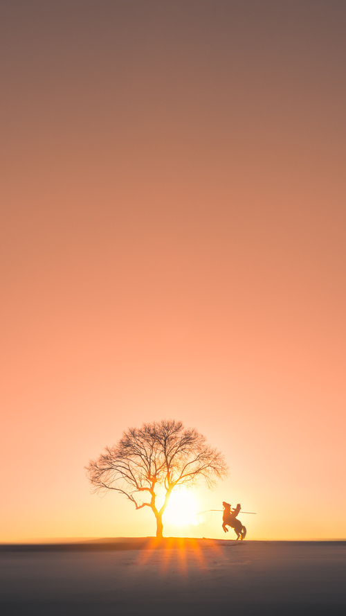球队高层:战术多样性将是拜仁下一步核心,拜仁队型