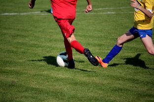 九游下载官网-体育文化节活动预告，体育文化节活动流程