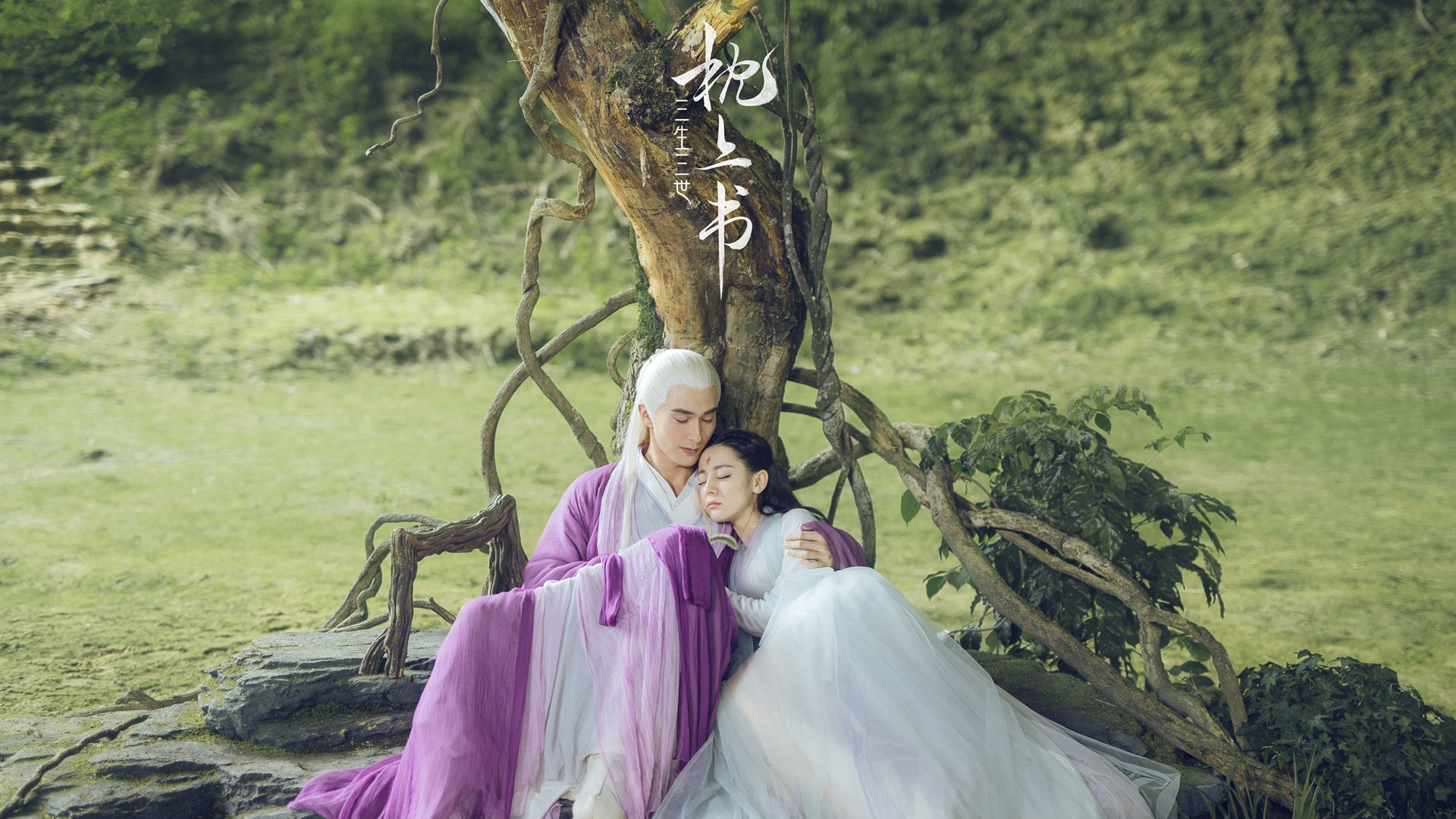 体育文化节活动预告,体育文化节活动流程