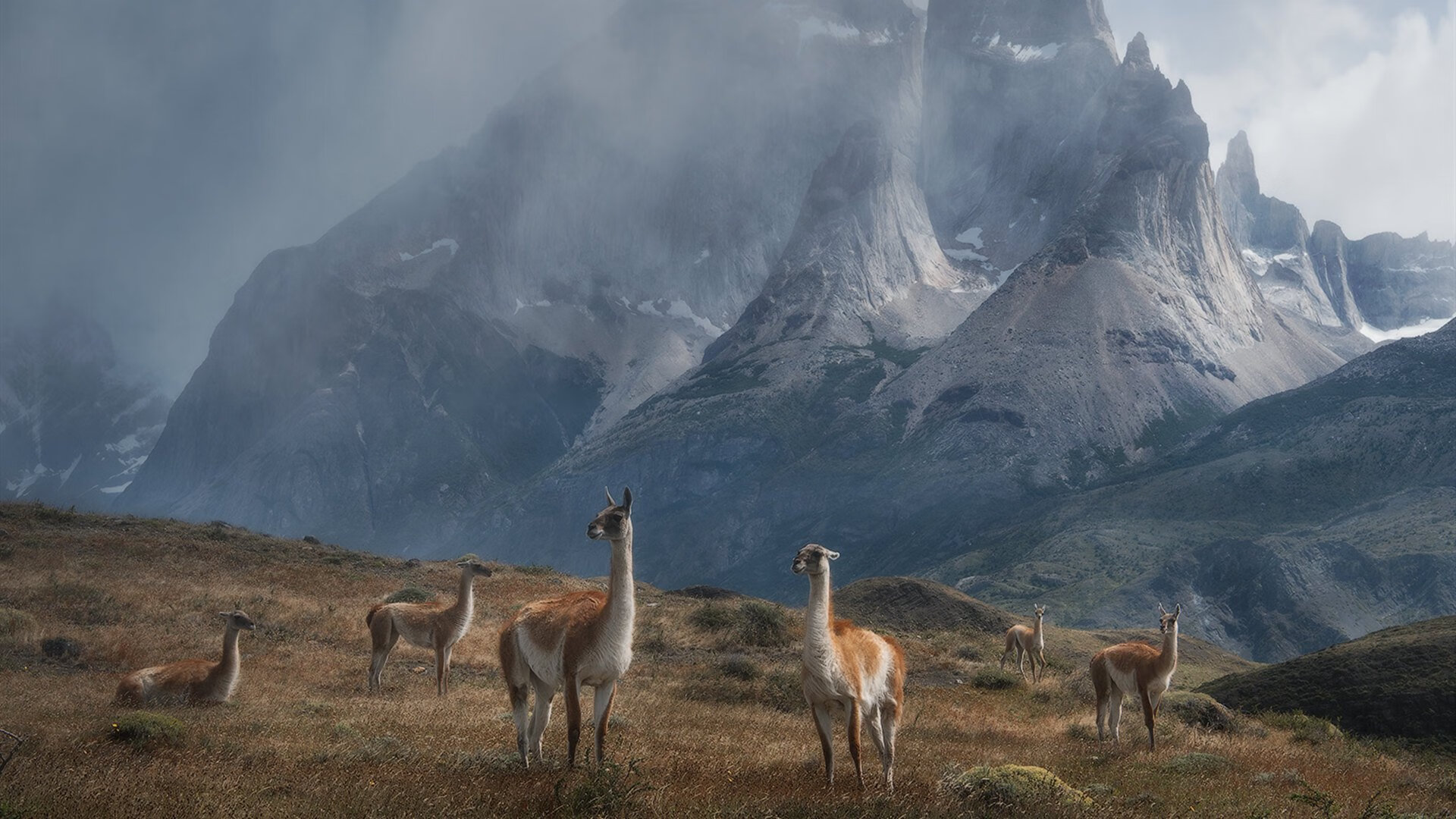 九游网页版官网-凯瑟琳·伯科夫女子50米仰泳决赛夺冠瞬间，女子50米仰泳半决赛