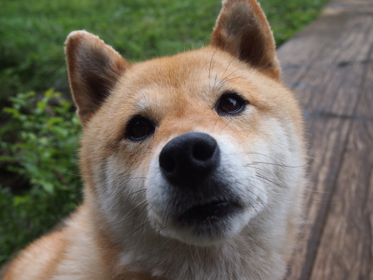 欧洲杯战术升级:创新布局开启新篇章!,欧洲杯技术分析