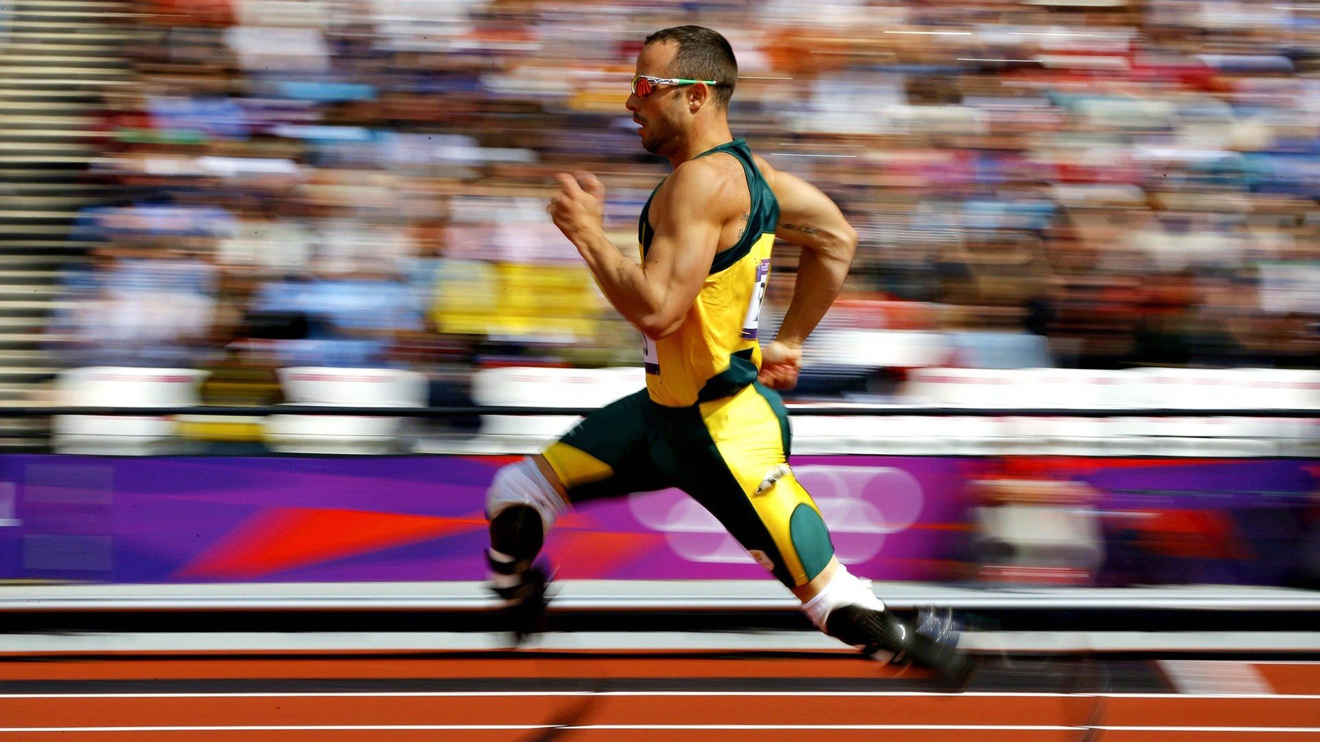 服务保障：志愿者体系+智能平台同步上线，志愿者服务信息管理平台